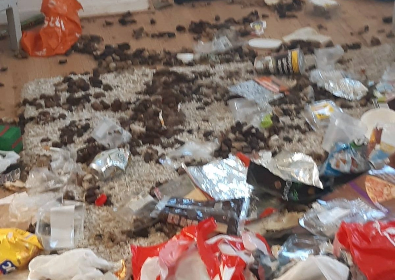 Dierenpolitie haalt hond uit ernstig vervuilde woning