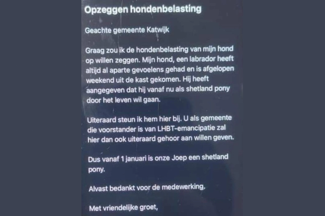 Gratis tip: maak van je hond een shetlandpony!