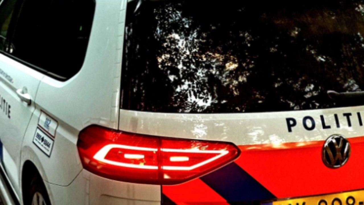 Automobilist met haast neemt verkeersregelaar op de motorkap