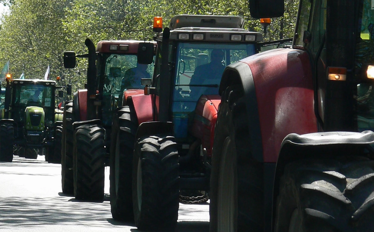 Tientallen boeren voeren actie langs snelweg