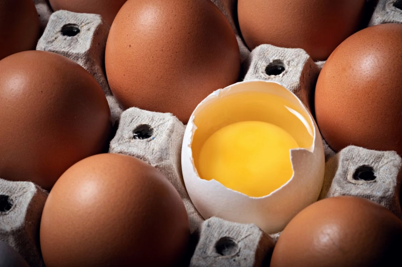 Dode en ruim 200 besmettingen door salmonella-uitbraak