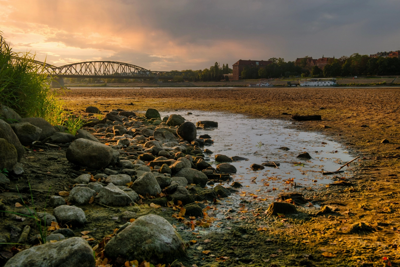 Droogte slaat toe: waterniveau in Rijn historisch laag