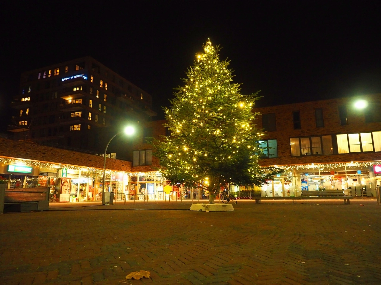 Kerstboom bij gemeentehuis Groesbeek verdwijnt na 2026, inwoners starten petitie