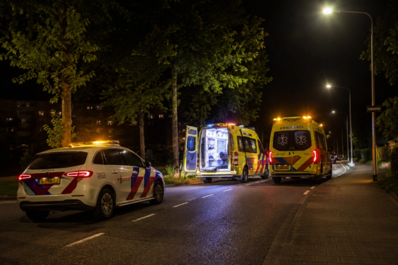 Bestuurder (20) overleden nadat auto tegen boom botst
