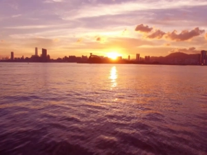 Notari&euml;le tips en tricks van MAES notarissen