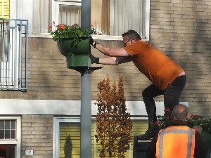 Bloemenpracht in Groenoord