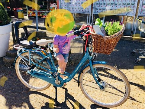 Wie heeft de gestolen fiets van Elise gezien?