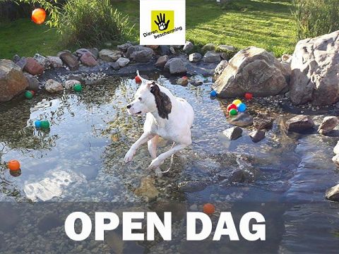 Open Dag dierenopvangcentrum Vlaardingen