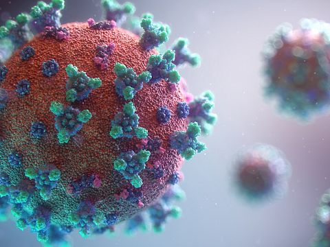 Een nieuwe besmetting met coronavirus in Vlaardingen