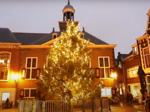 Lichtjes grote kerstboom online aangezet