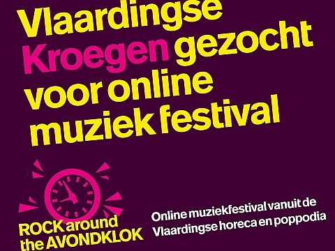 Vlaardingse Kroegen gezocht voor online muziekfestival