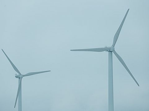 Raad van State geeft groen licht voor windmolens Oeverbos