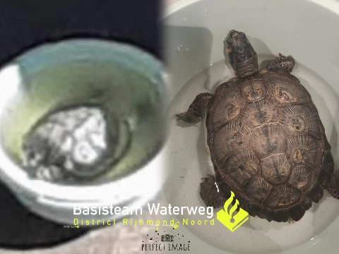 Politie pakt dierenleed aan