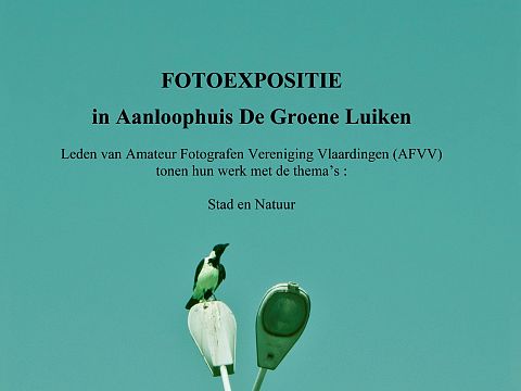 Vlaardingse fotografen exposeren in De Groene Luiken