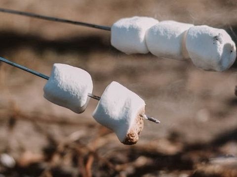 Poffertjes en marshmallows op Stadsboerderij Holywood