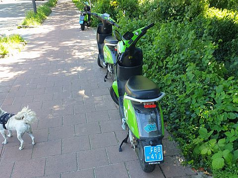 Nieuwe parkeerplek voor deelscooters... op het fietspad