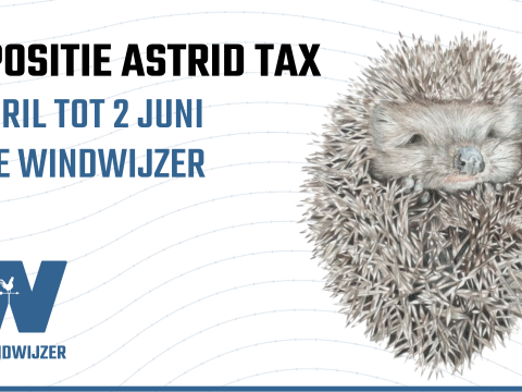 Expositie Astrid Tax in De Windwijzer