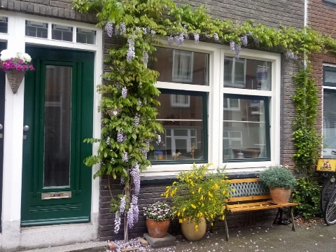 De VOP is weer wat groener en kleurrijker!