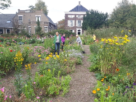 Oogst groenten en bloemen bij Stadslandbouw