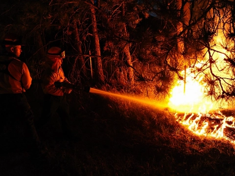Brand trekt spoor van verwoesting
