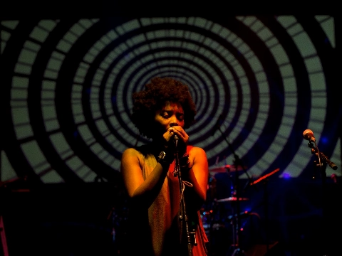 De Swingin' Sixties door Auke Pol