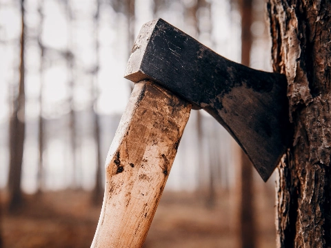 Ingezonden brief: Kappen!