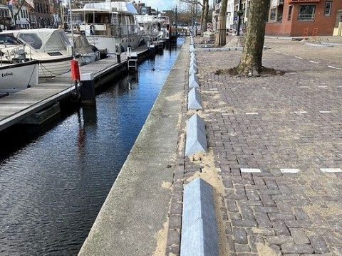 Oosthavenkade: platanen of parkeren?