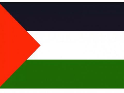 Burgemeester hangt ook Palestijnse vlag uit