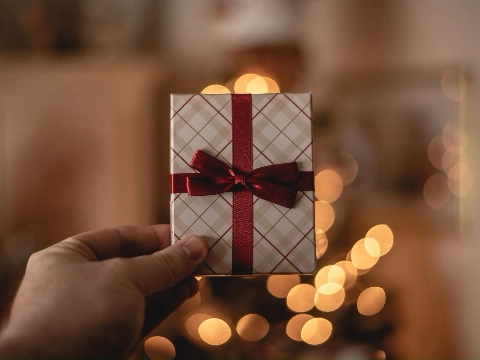 Help Sint in Vlaardingen!