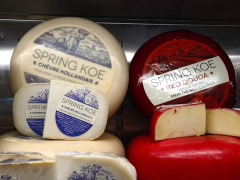 Cora Vlug: Springkoe, Halloween en Delftsblauwe klompen