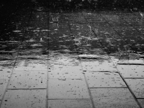 Vandaag: snuffelen, vespers, een liefdesgeschiedenis en regen