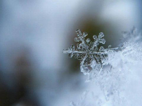 Dingen om te doen in Vlaardingen in de winter