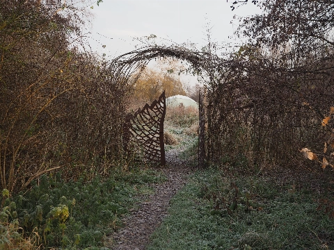 Vandaag: rondleiding Voedselbos, Bach in de Bethel en een lekker zonnetje