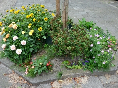 Ga aan de slag met je boomspiegel!