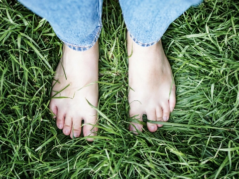 Op je blote voeten door het Voedselbos Vlaardingen