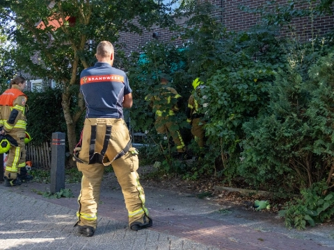 Gaslek na klusje in voortuin