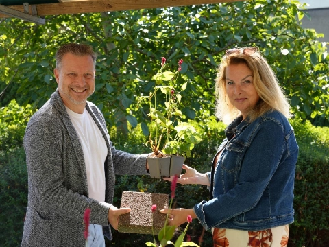 Bewoners en organisaties knappen tuinen op tijdens Vlaardingen Pakt Op