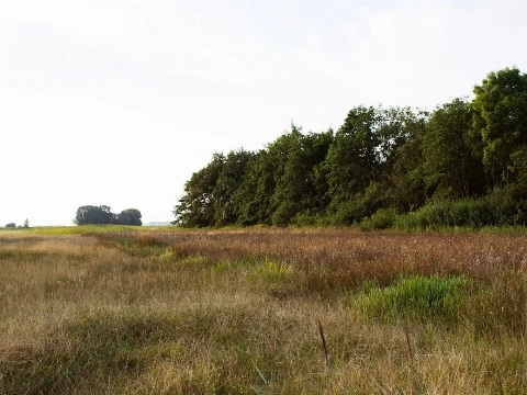 Een mooie uitvaart, passend bij een liefdevol leven
