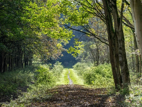Drukke oktobermaand in de Broekpolder
