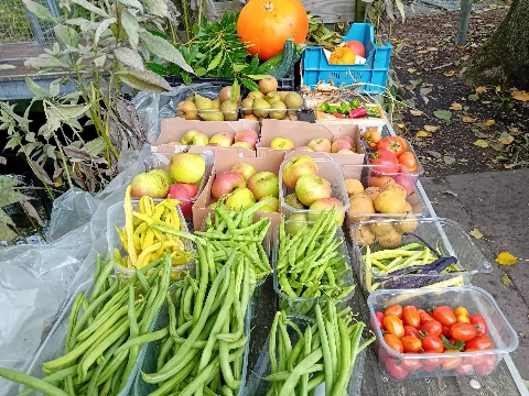 Oogstmarkt en Open akker bij Stadslandbouw