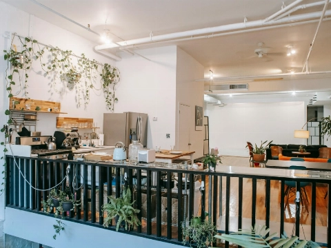 Groen wonen in Vlaardingen: de charme van hangplanten