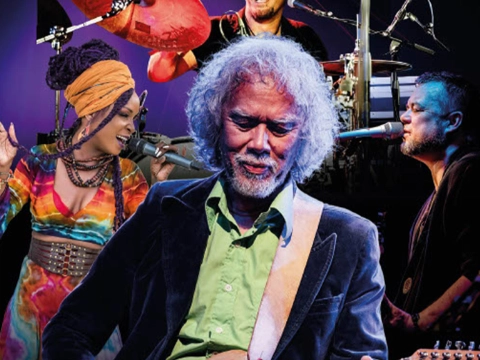 Gitarist Erwin Java brengt ode aan blueslegendes