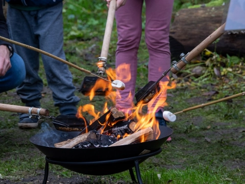 Herfst-Doe-Dag in de Broekpolder