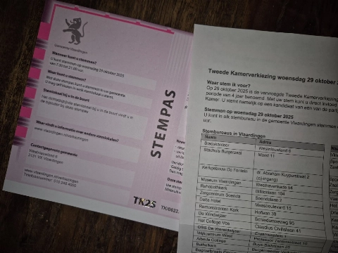 Maatschappelijke organisaties roepen op: ga stemmen op 29 oktober!