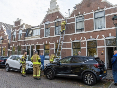 Bewoner schrikt wakker: gestommel op het dak blijkt vastzittende gans
