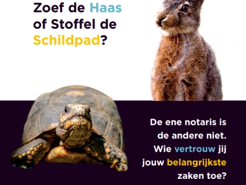 Tips en Tricks van MAES notarissen