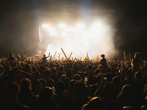 Mega Hollands Festival Vlaardingen: hoe één avond de stad laat zingen