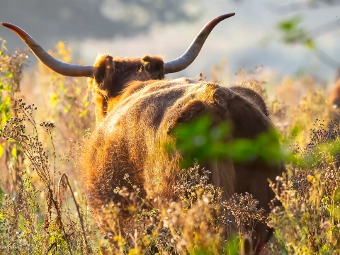 Winter in de Broekpolder: doe mee met de activiteiten!