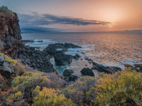 Geniet van de zomer in de winter op de Canarische Eilanden!