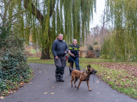 Speurhond ingezet in zoektocht naar vuurwapen in Vlaardingen